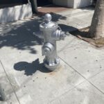 Restoration of the Silver Twin Fire Hydrant at Hayes and Buchanan